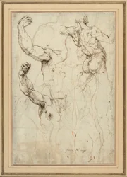 Studie eines nackten Rückens und zwei Studien eines Arms (recto); Nackter Rücken mit Nebenstudien einer Schulter und eines Beins (verso)