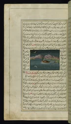 Eine Gans und eine Spiegelung des Mondes im Wasser aus Lichter von Canopus