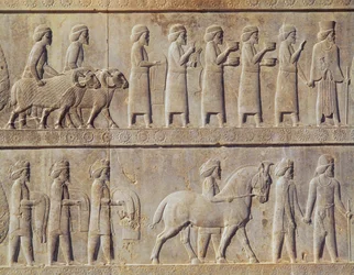 Detail des Relief-Frieses auf der Osttreppe zur Apadana (Audienzhalle), das Delegierte aus den unterworfenen Ländern des Reiches zeigt, die üppige Geschenke für eine Zeremonie bringen, Achämenidenzeit, ca. 515 v. Chr.