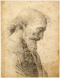 Büste eines Mannes, 1500-1503