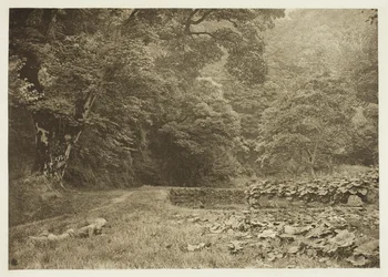 Eine ruhige Ecke in Beresford Dale