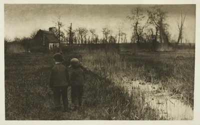 Eine Kröte auf dem Weg: Früher Frühling in Norfolk