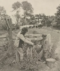 An der Schleifstein--Ein Bauernhof in Suffolk