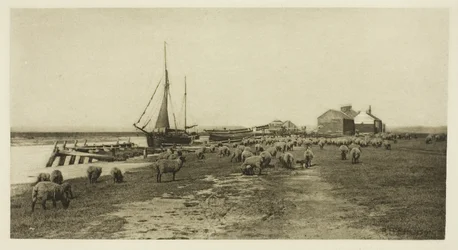 Blackshore, River Blythe (Suffolk)