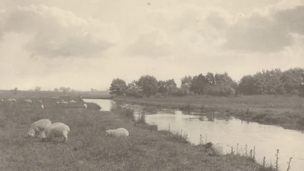 Am Fluss Bure