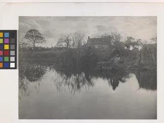 Quanting der Gladdon