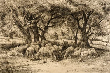 (Ein Obstgarten in Neuengland)