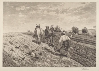 Der Pflüger