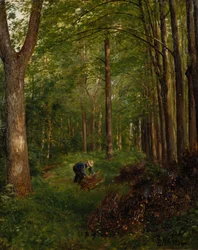 Alte Pappel, Teil des Gartens von Gulskov