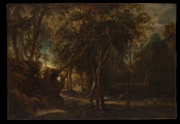 Ein Wald im Morgengrauen mit einer Hirschjagd