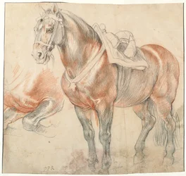 Gesatteltes Pferd, um 1616-1618