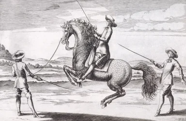 Illustration eines Pferdes en Croupade aus Neuem Traktat zur Pferdezucht geschrieben von Winters, Stuterey und Reit-Schul, veröffentlicht 1672