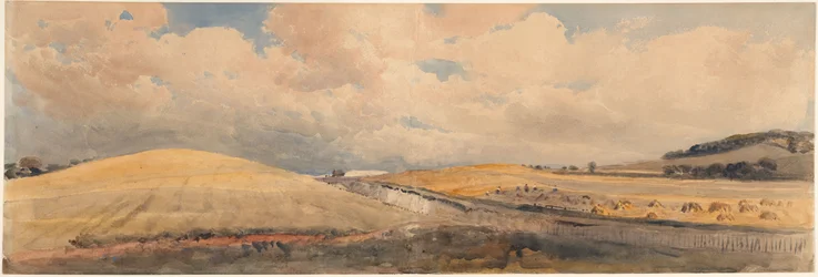 Kornfelder beim Bahnhof Tring, Hertfordshire