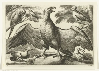Adler