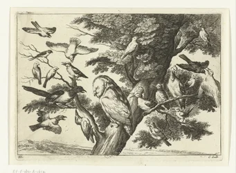 Vögel in einem Baum