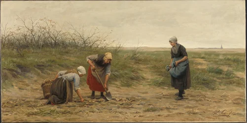 Frauen aus Scheveningen ernten Kartoffeln auf einem Feld
