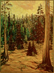 Sommerwald