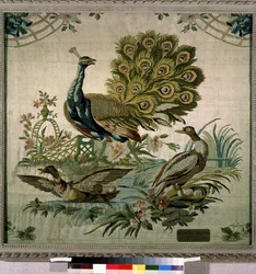 Der Pfau