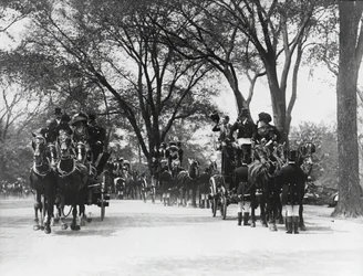 Kutschfahrt, Central Park