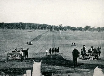 Erlernen des Säens mit der Drillmaschine und des Walzens am Dookie Agricultural College, Victoria, um 1900, aus „Unter dem Kreuz des Südens - Einblicke in Australien“, veröffentlicht vom Department of External Affairs, Melbourne