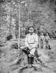 Zar Nikolaus II. in bolschewistischer Gefangenschaft in Zarskoje Selo