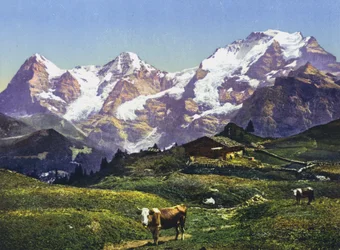 Eiger, Mönch und Jungfrau