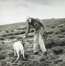 Der 11. Duke of Devonshire bei einer Moorhuhnjagd in Bolton Abbey