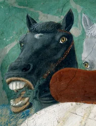 Die Legende vom Wahren Kreuz, der Empfang der Königin von Saba durch König Salomo, Detail eines Pferdes, vollendet 1464
