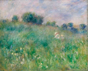 Wiese