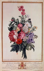 Blumenstrauß Melange Lithographie von Pierre Joseph