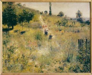 Weg durch hohes Gras