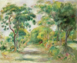Landschaft des Midi