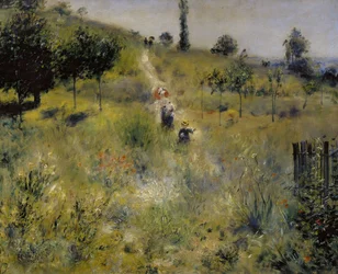 Pfad durch hohes Gras