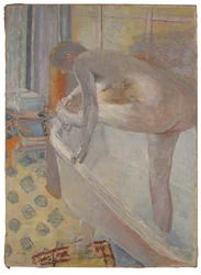 Großer Akt in der Badewanne