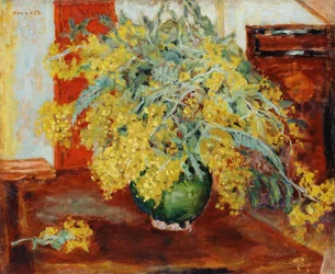 Mimosen