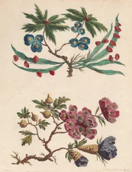 Zwei Sträuße imaginärer Blumen