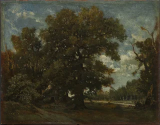 Die Eiche, 19. Jahrhundert