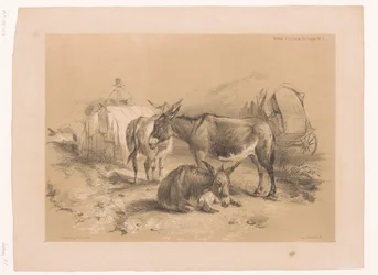 Studie von drei Eseln
