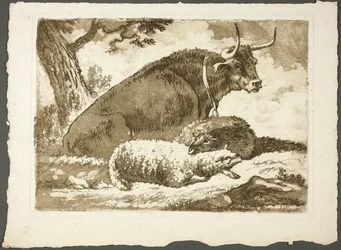 Ein Stier und zwei Schafe