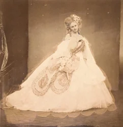 La Bisi. Boudoir, grauer Samtrobe, rosa Moiré, rosa Blumen, graue Blätter von ihrer Mai, 1860er