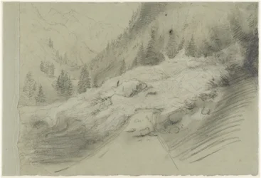 Lawine in einer alpinen Landschaft
