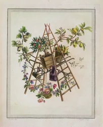 Ein Gartentextildesign, aus Oeuvre contenant un Receuil de Trophees, Attributs, Cartouches, Vases, Fleurs, Ornemens, et Plusieurs Dessins agréables pour broder des Fauteuils, graviert von Etienne C