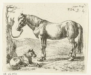 Pferd und Hund auf einer Weide