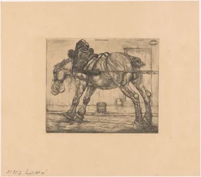 Zugpferd mit Haferbeutel