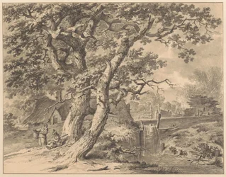 Landschaft mit kleinem Wasserfall unter zwei großen Bäumen