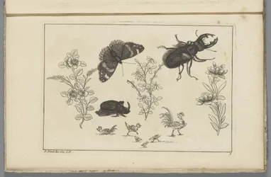 Drei Blumenstängel mit Nashornkäfer, Schmetterling und Käfer