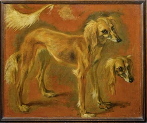 Ein Windhund
