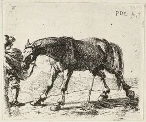 Pinkelndes Pferd