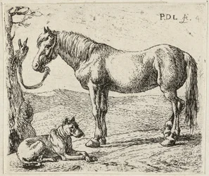 Das Pferd und der Hund