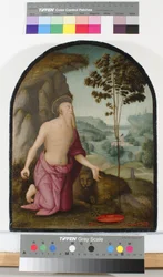 Heiliger Hieronymus in der Wildnis